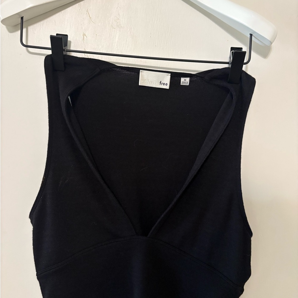 Aritzia Crop Top
